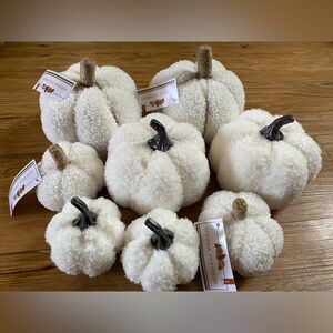 cream small and extra small pumpkins